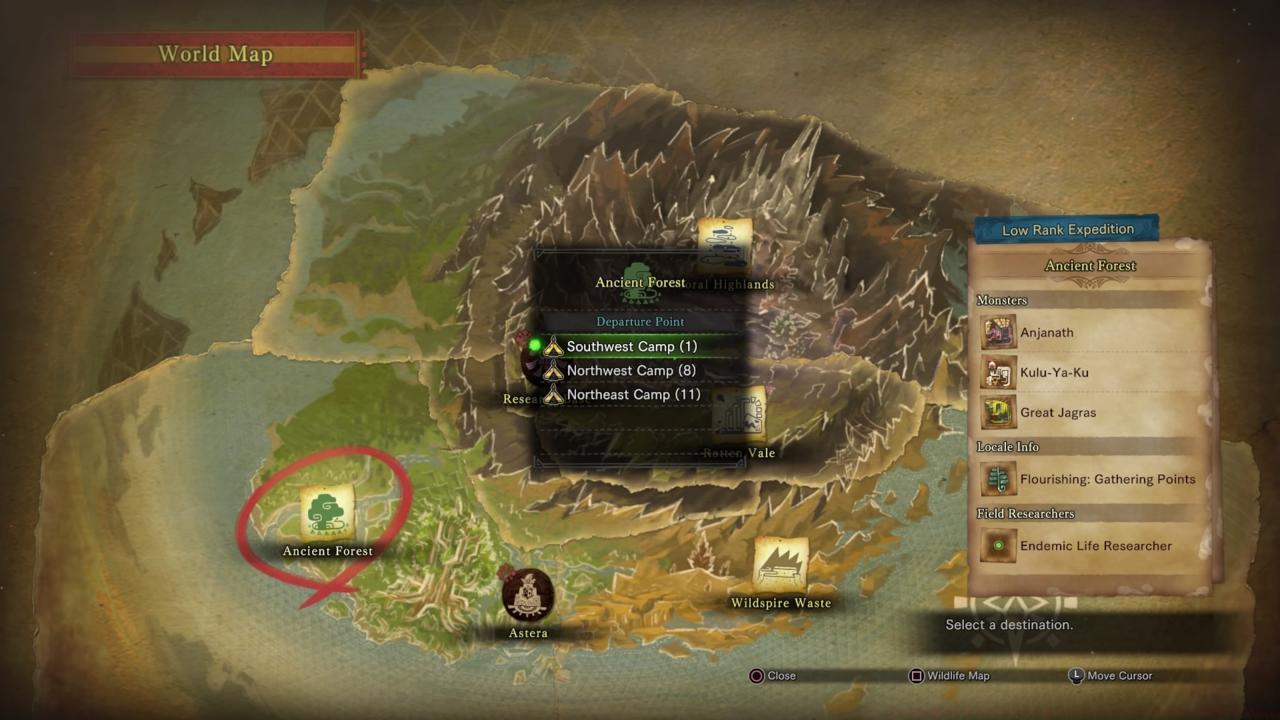 Search For More Campsites